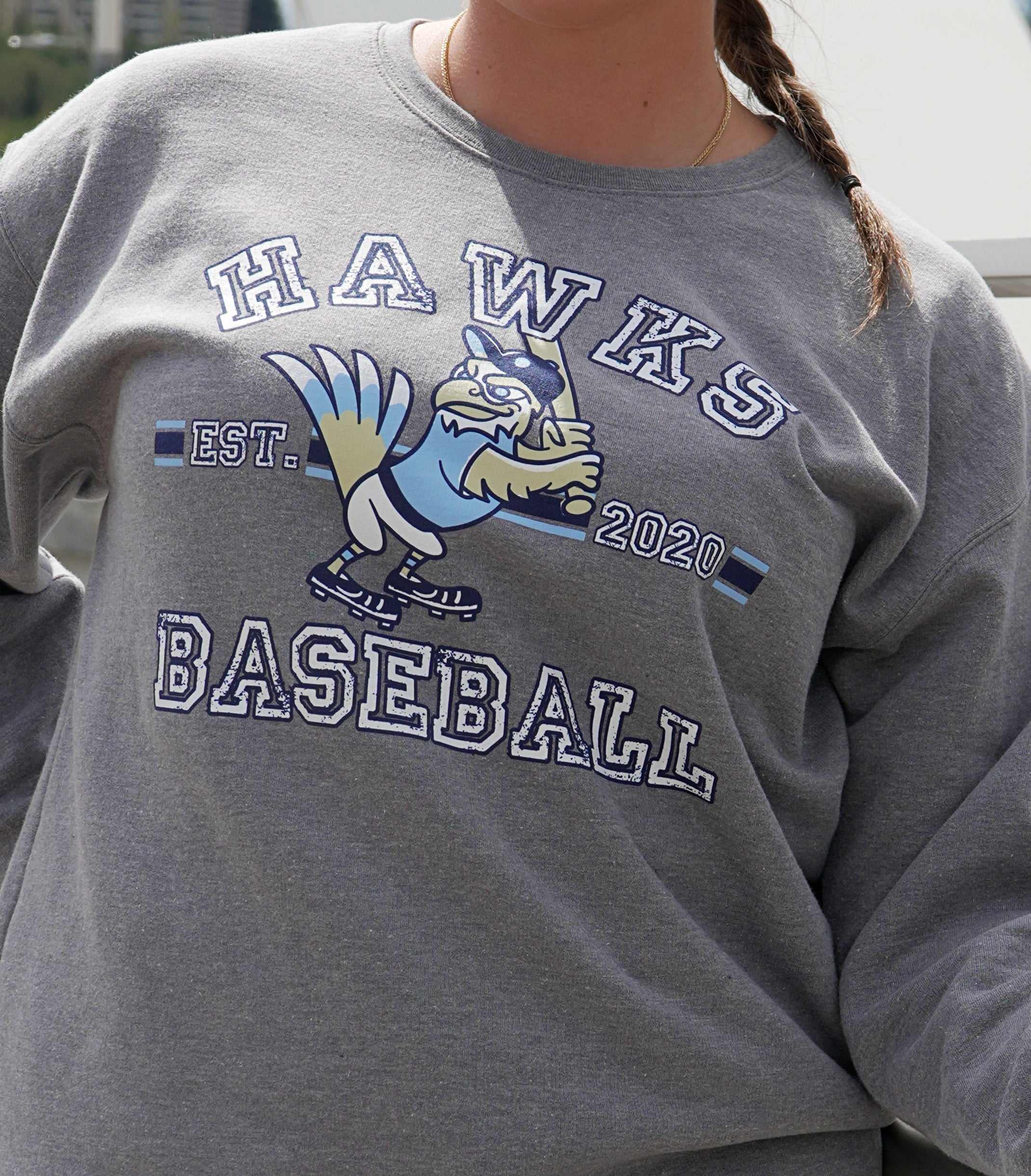 Grey Crewneck Sweatshirt The Hawk Shop